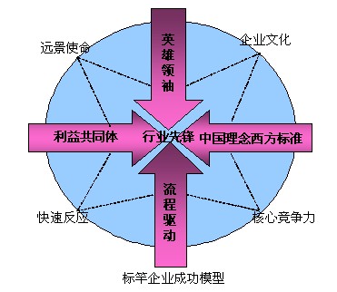 標(biāo)竿企業(yè)成功模型